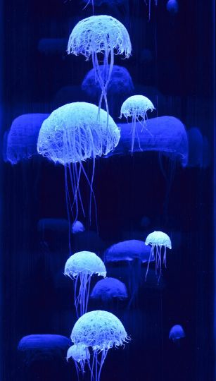 Artisanart Grande Lampe Objet D Art Sculptures Meduses Miki Nakamura