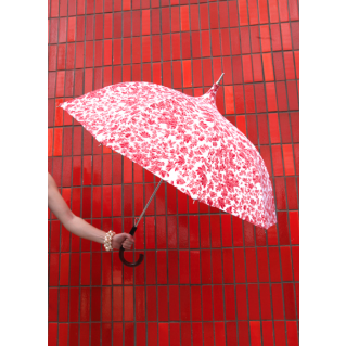 Parapluie Au Vent 
