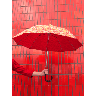 Parapluie Kiwis