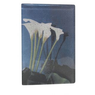 "Arums” (Calla Lilies), image enshrined in glass