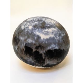 Sphère Coquillage
